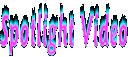 Spotlight 